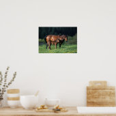 Poster Mare et Foie de Thoroughbred 1 (Cuisine)