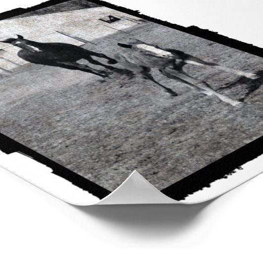 Poster Mare et poulain (Coin)