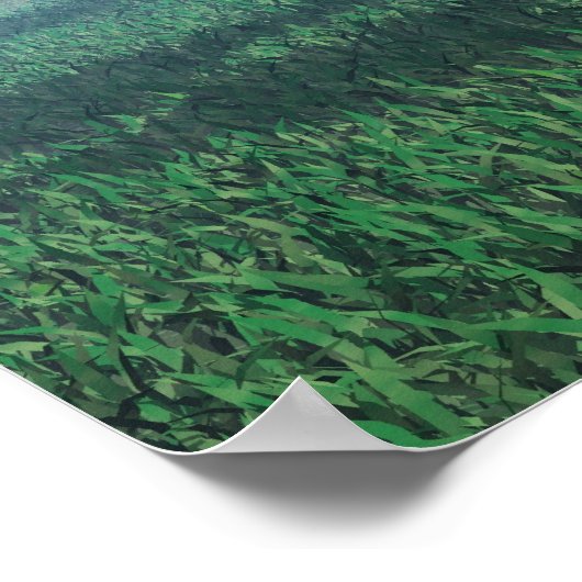 Poster Mare et poulain (Coin)