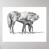 Poster Mare et poulain (Devant)