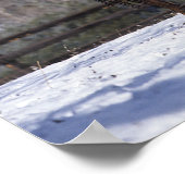 Poster Mare et poulain arabe en neige (Coin)