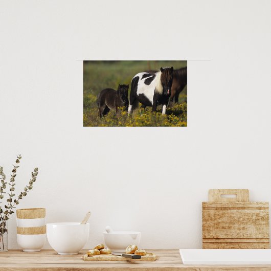 Poster Mare miniature et Foal dans les fleurs (Cuisine)