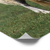 Poster Mare miniature et Foies 1 (Coin)