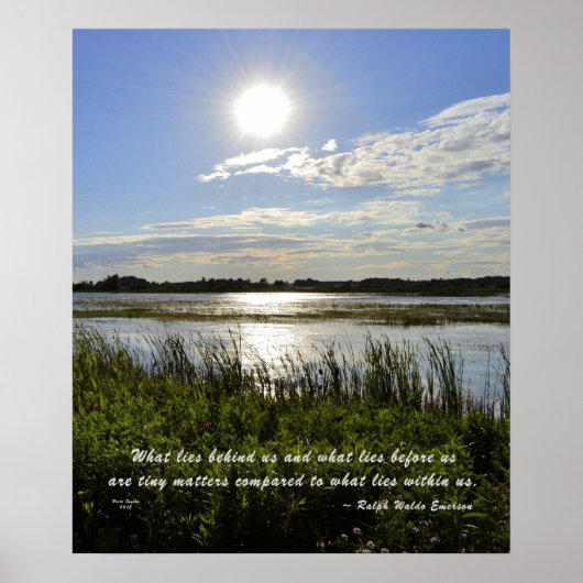Poster Marécage du chêne (Devant)