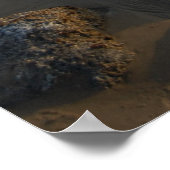 Poster marée (Coin)