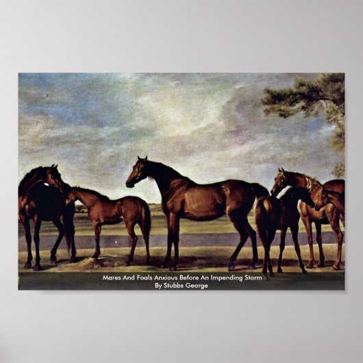 Poster Mares Et Foals Anxieux Avant Une Tempête Imminente (Devant)