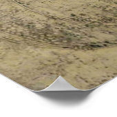 Poster Margaret Macdonald La princesse endormie Glasgow (Coin)