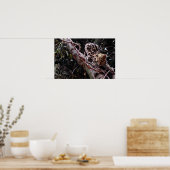 Poster Margay (Felis wiedi) dans l'arbre (Cuisine)