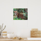 Poster Margay, Leopardus wiedi, Natif du Mexique vers (Cuisine)