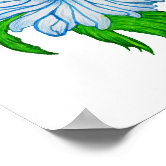 Poster Margeriten Blume (Coin)