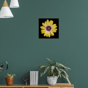 Poster Marguerite africaine jaune sur fond floral noir