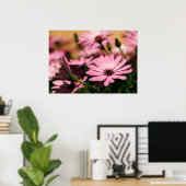Poster Marguerite africaine violette (Bureau à domicile)