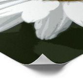 Poster Marguerite blanche simple (Coin)