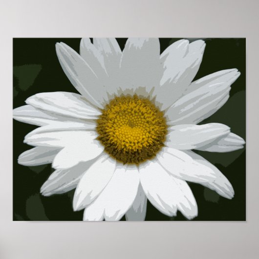 Poster Marguerite blanche simple (Devant)