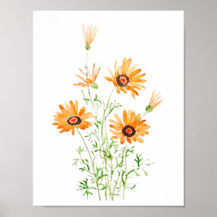 Poster marguerite d'Afrique orange peinte à la main