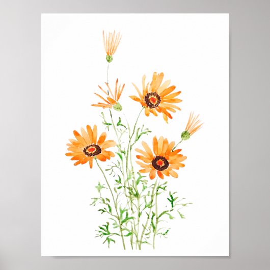 Poster marguerite d'Afrique orange peinte à la main (Devant)