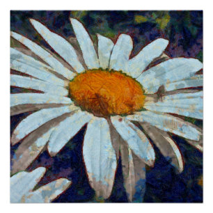 Poster Marguerite Daisy avec Insectes ailées Art Floral