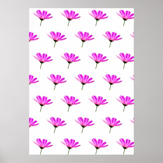 Poster Marguerite rose (Devant)
