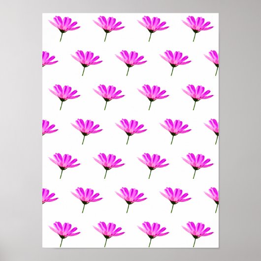 Poster Marguerite rose (Devant)