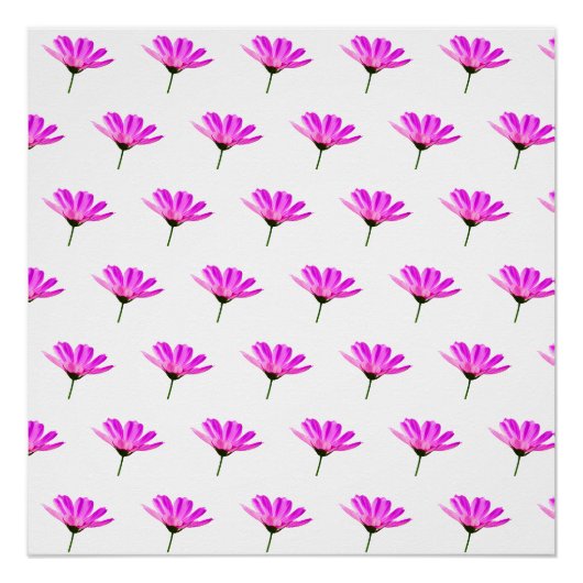 Poster Marguerite rose (Devant)