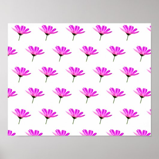 Poster Marguerite rose (Devant)