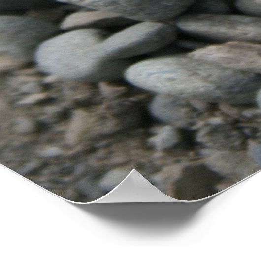 Poster marguerite sur rochers (Coin)