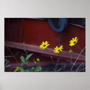 Poster Marguerite-sur-Rouge