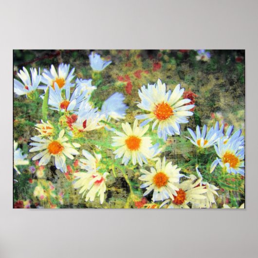 Poster Marguerites (Devant)
