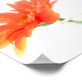 Poster Marguerites (Coin)