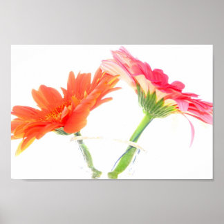 Poster Marguerites