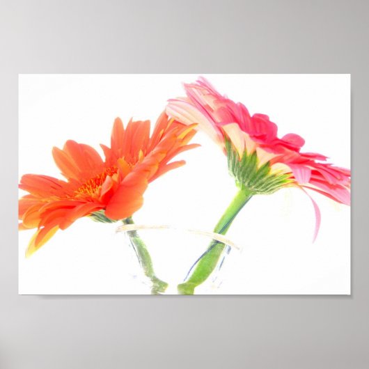 Poster Marguerites (Devant)