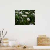 Poster Marguerites (Cuisine)