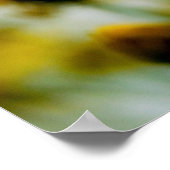 Poster Marguerites (Coin)