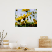 Poster Marguerites (Cuisine)