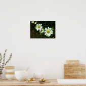Poster Marguerites (Cuisine)