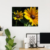 Poster Marguerites à oeil noir (Bureau à domicile)