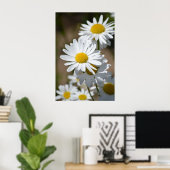 Poster Marguerites au printemps (Bureau à domicile)