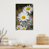 Poster Marguerites au printemps (Cuisine)