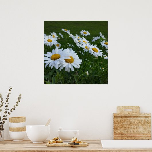 Poster marguerites blanches (Cuisine)