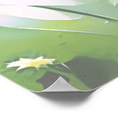 Poster Marguerites blanches (Coin)