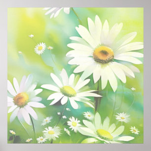 Poster Marguerites blanches