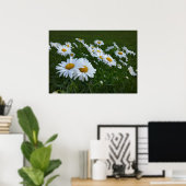 Poster marguerites blanches (Bureau à domicile)