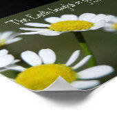 Poster Marguerites blanches sauvages (Coin)