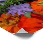 Poster marguerites colorées (Coin)