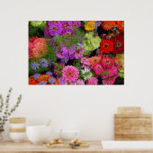 Poster marguerites colorées (Cuisine)