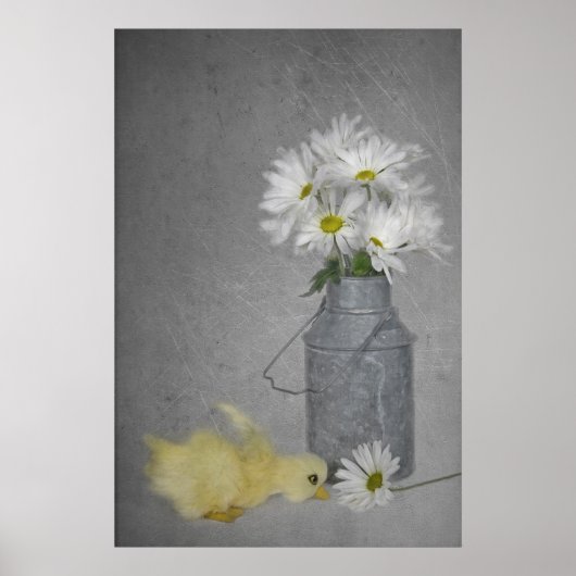 Poster Marguerites de pays (Devant)