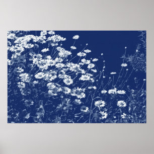 Poster Marguerites - Effet Cyanotype
