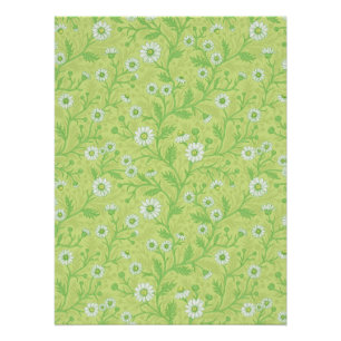 Poster Marguerites en blanc et vert sur fond vert miel