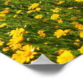 Poster Marguerites jaunes (Coin)