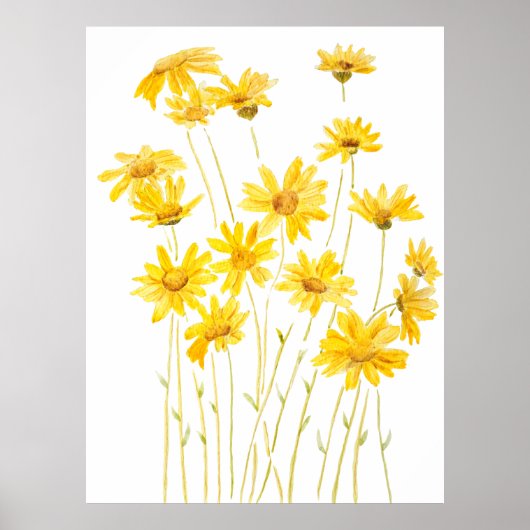 Poster marguerites jaunes en fleur (Devant)